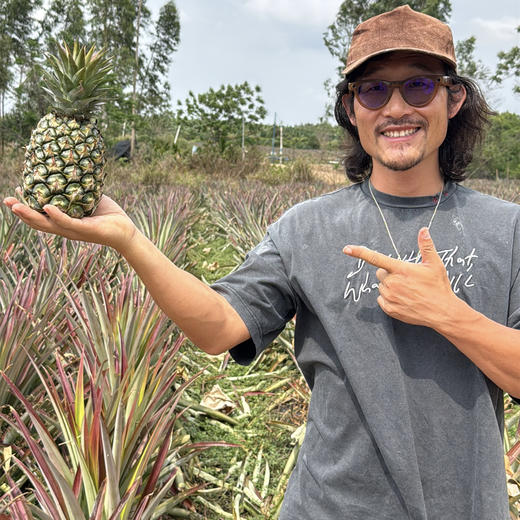 冬蜜凤梨丨即使青皮也可以食用，甜度高，无明显酸味，一口惊艳。⭐️顺丰快递 商品图3