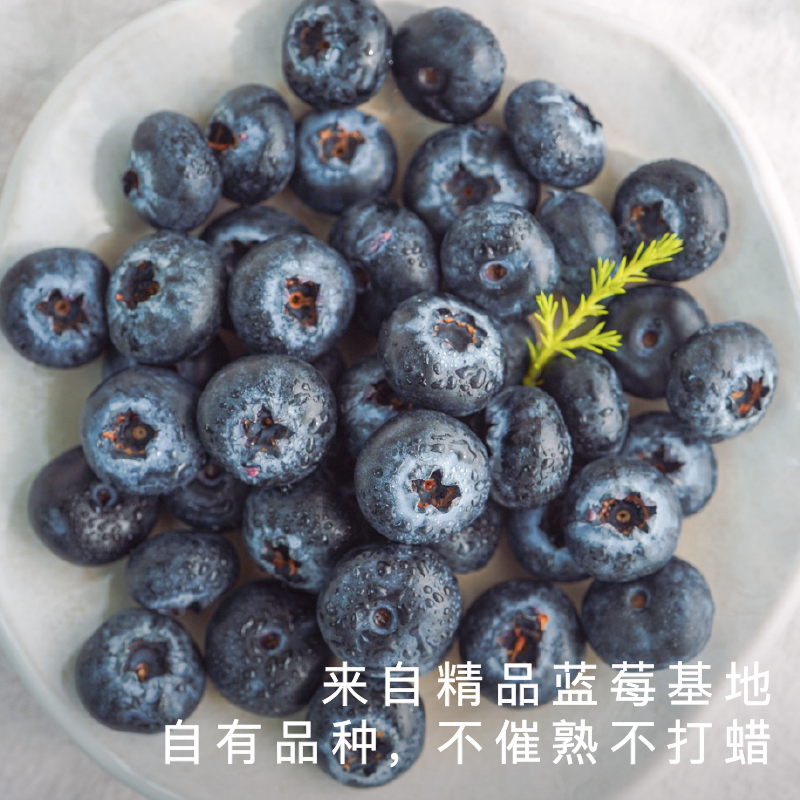 艾格吃饱了花香脆甜蓝莓4盒装