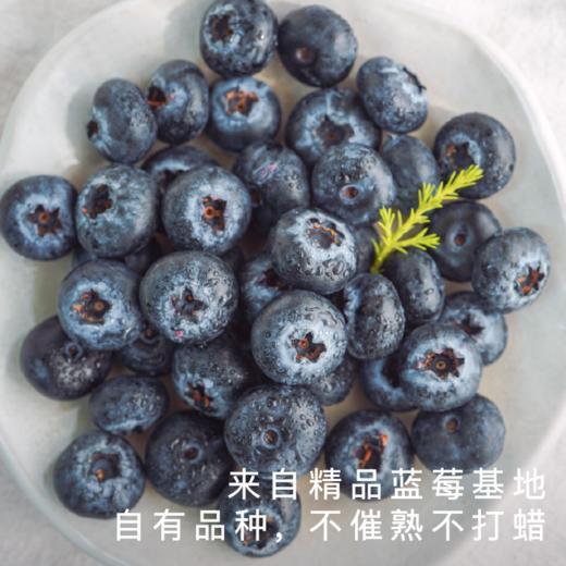 艾格吃饱了花香脆甜蓝莓4盒装 商品图0