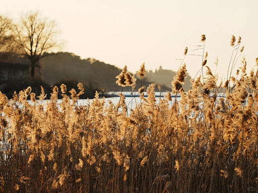 【金海湖北线街1日】金海湖北线【中午出发】驼峰夕照北京日落天花板-8公里休闲徒步 商品图3