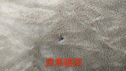 VP924042072045 博洋家纺 牛奶绒加厚保暖套件冬天床单套件床上套件床单被套床上用品【1.8m床单款/被套尺寸220*240cm/四件套】 商品图6