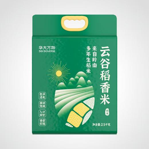 【满赠专属】（2026年5月26日到期）【云谷稻香米】【华大万物】来自岭南多年生稻米 2.5千克/袋 香甜软糯 入口回甘！（2026年5月26日到期） 商品图0