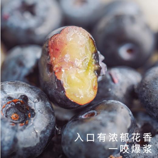 艾格吃饱了花香脆甜蓝莓4盒装 商品图1