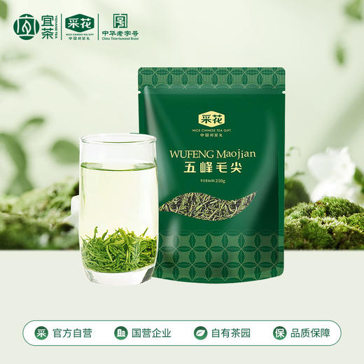 【2026新茶】五峰绿茶采花毛尖口粮茶金标银标毛尖250g芽茶100g 商品图2