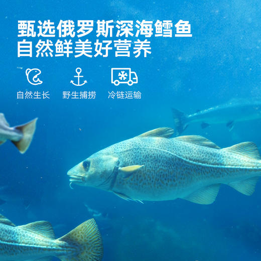 【宝宝馋了】鳕鱼泡芙 强化钙&维生素B1 送6月+婴幼儿食谱 商品图3