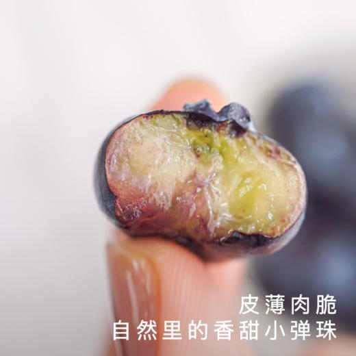 艾格吃饱了花香脆甜蓝莓4盒装 商品图2