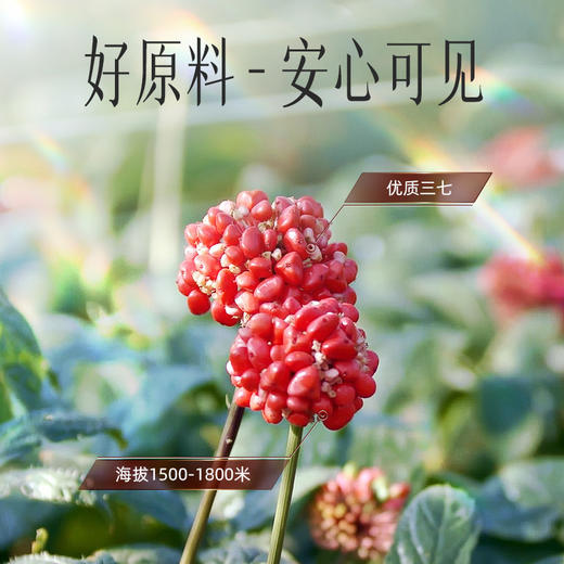【官方正品】云南白药豹七熟三七粉2g*40袋正宗文山三七头打粉蒸制工艺血虚补血 商品图6