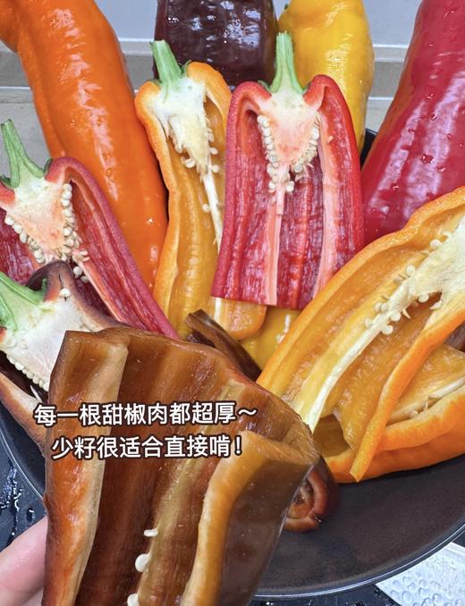 四色芭莱姆彩椒 商品图5
