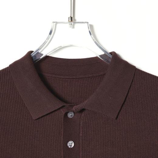 SDSA男装2026新款高贵轻奢老钱风纯色polo领短袖T恤百搭时尚上衣 商品图1