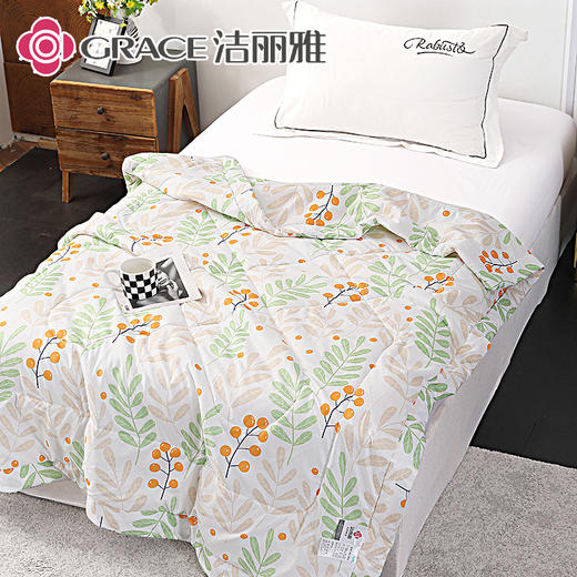 洁丽雅 致青春.艾草亲柔夏被JLY25501 商品图5