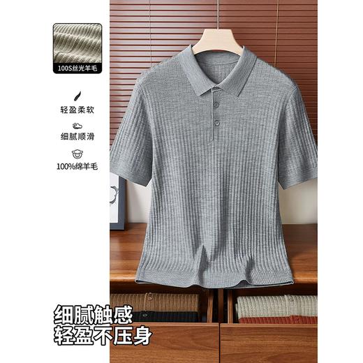 【100%纯羊毛】100支大码男士短袖T恤翻领polo衫半袖丝光羊毛衫   STZZ-STJFW13-145 商品图1