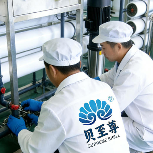 乳江生蚝5斤装/生蚝肉1斤装 商品图7