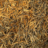 2026新茶滇红大金针尝鲜活动! 折后拍2发3！一两装50g 商品缩略图0