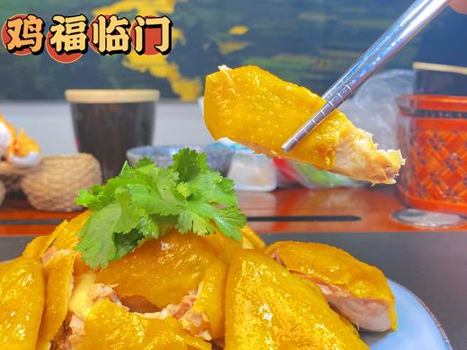 【中宿麻鸡清远咸香鸡】咸香味美，皮嫩肉滑，鸡皮淡黄色散发着光泽，连鸡胸肉都是滑的。 商品图5