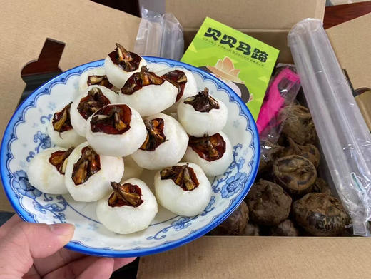 贝贝马蹄 整件礼盒装 商品图1