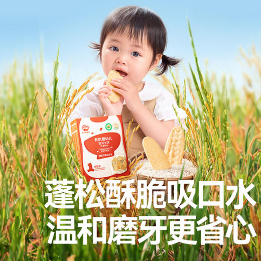 【109任选3件】【⚡39.9秒杀4袋】有机婴幼儿胚芽米饼32.8g（原味*2+草莓+田园蔬菜）叠加店铺满赠，不叠加店铺满减和会员折扣 商品图5