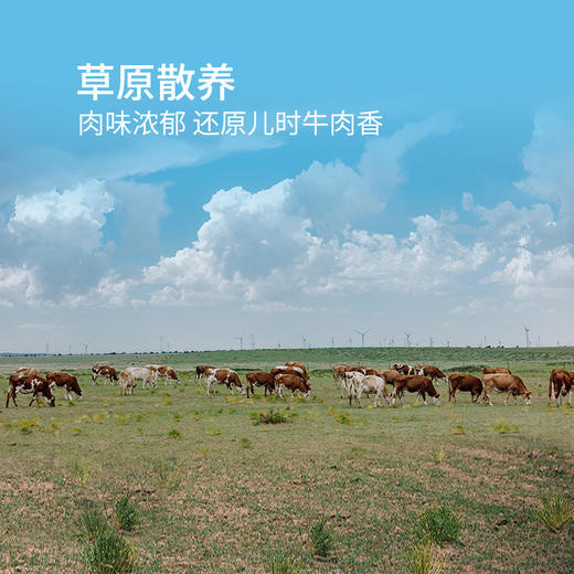 有机牛肉片5袋装健康无添加高蛋白轻食优选 商品图1