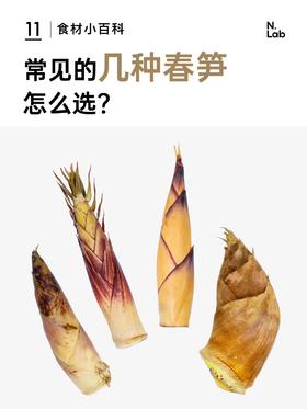 常见的几种春笋怎么选❓