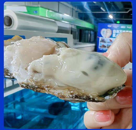 乳山鲜肥生蚝 5斤礼盒装（带壳发货） 商品图2