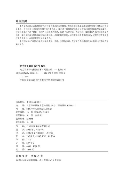 电力设备带电检测技术 商品图3