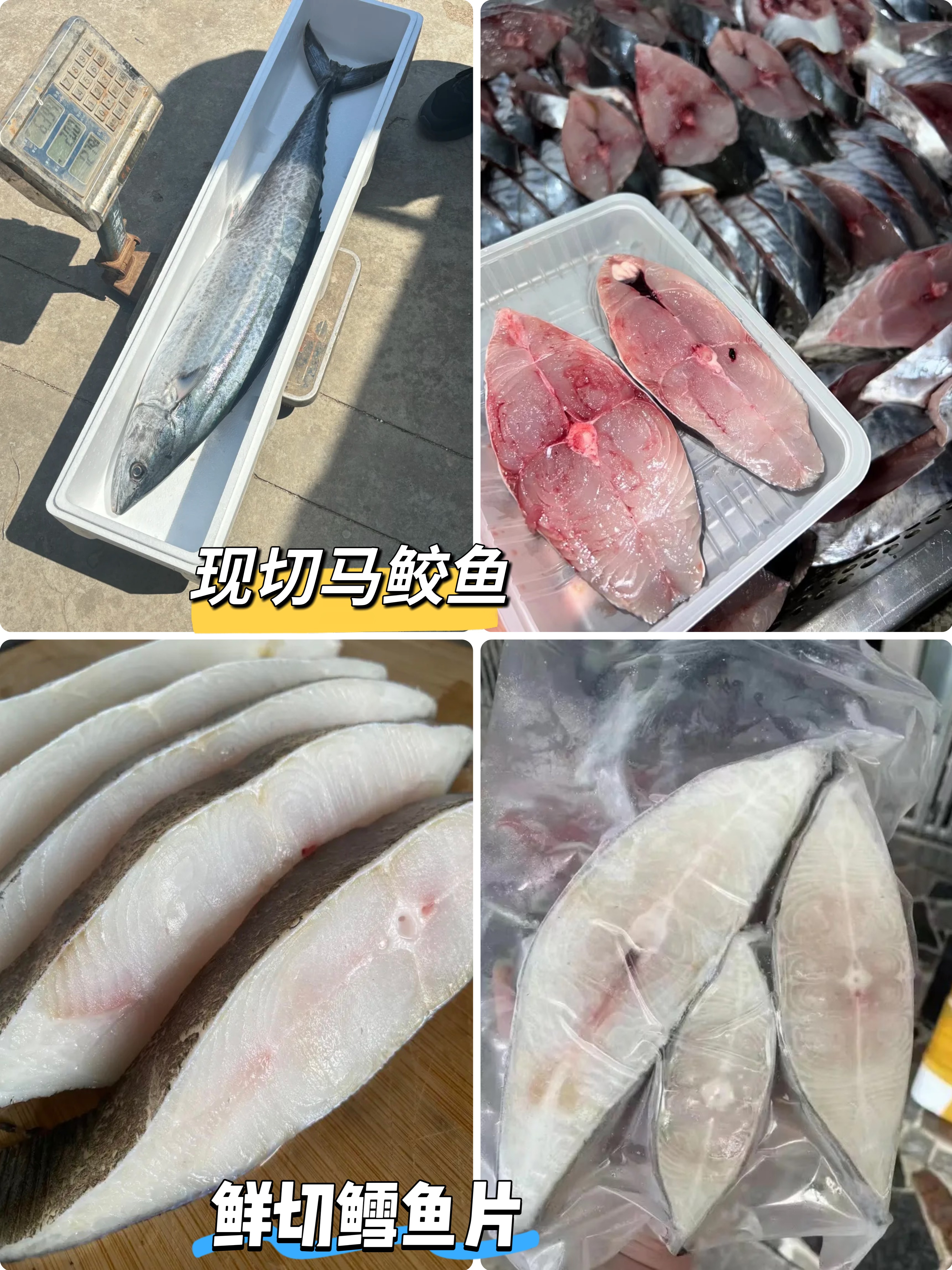 & 热销组合🤩扁鳕鱼➕马鲛鱼！超绝宝宝辅食组合！好吃营养高~【活冻】