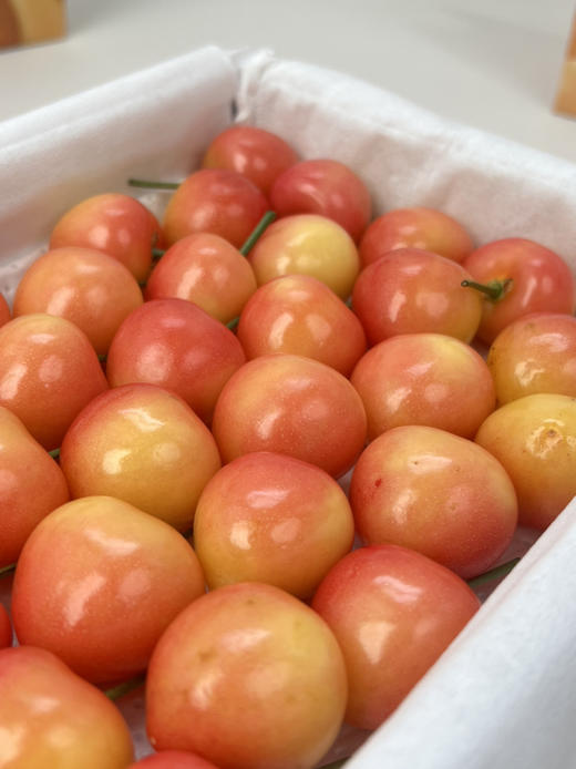 黄樱桃，鲜美脆甜 商品图2