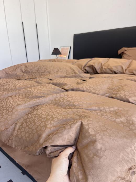 【清仓179元/套】轻奢100S全棉四件套 耐磨透气纯棉套件【不支持退换货】 商品图1