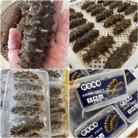L'' 春季滋补推荐即食海参‼  特挑精品即食海参限量1000头