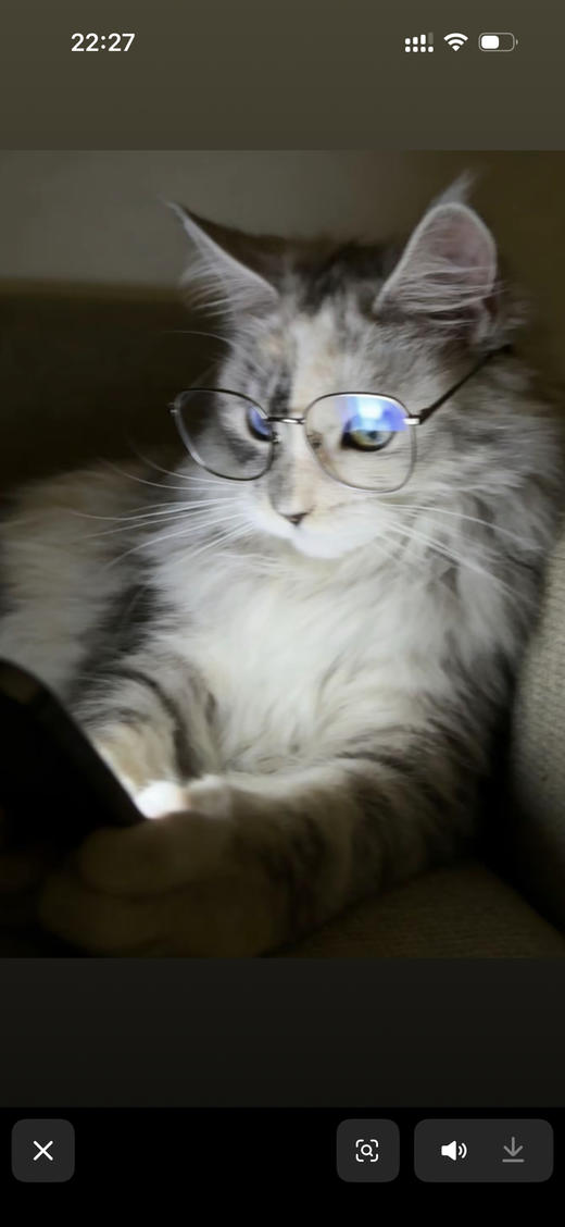 临时链接497.9 商品图0