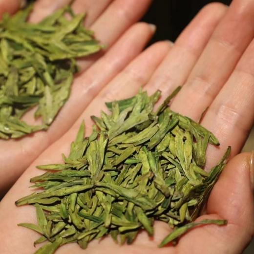 明前龙井绿茶（2026年新茶） 商品图2