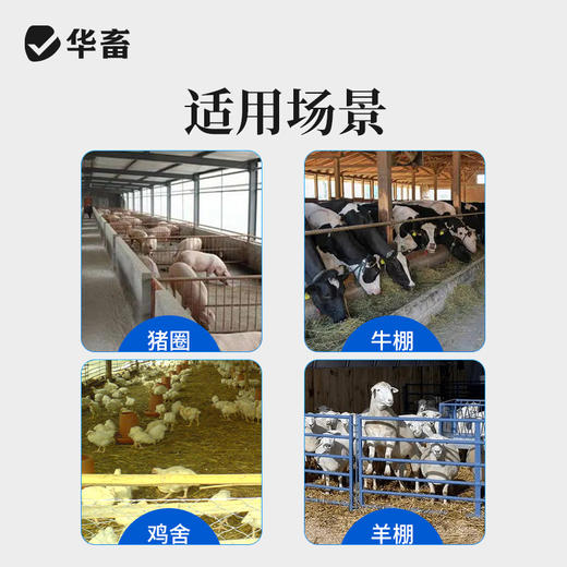 华畜 蚊香畜牧蚊香猪牛羊禽用蚊香兽用养殖场户外蚊香盘状蚊蝇香蚊蝇通用 商品图3