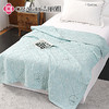 洁丽雅（Grace)春忆彩.艾草亲柔夏被JLY25501 商品缩略图5