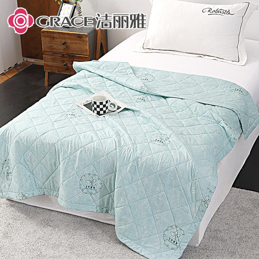洁丽雅（Grace)春忆彩.艾草亲柔夏被JLY25501 商品图5