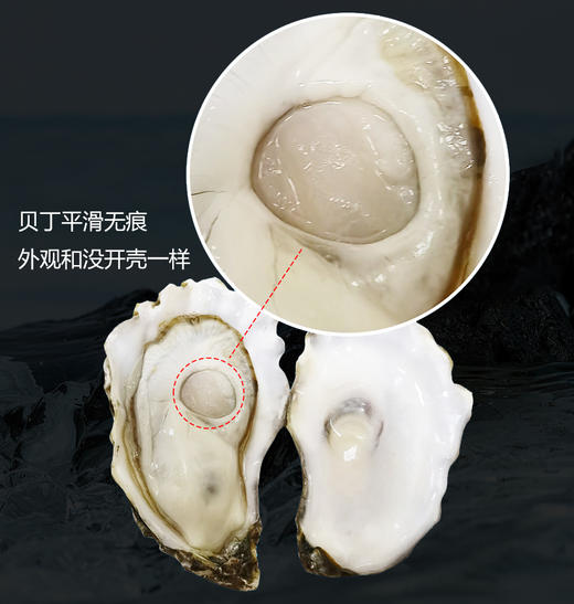 乳江生蚝5斤装/生蚝肉1斤装 商品图6