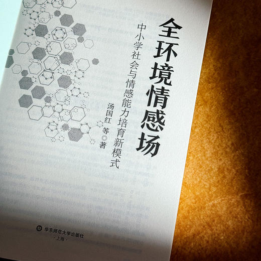 全环境情感场 中小学社会与情感能力培育新模式 创新育人模式 培养学生的社会与情感能力 商品图5