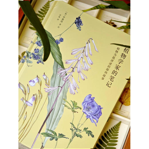 植物学家的笔记 申惠雨/著 罗竣/译 植物学 散文 科普 植物插画 广西师范大学出版社 商品图5