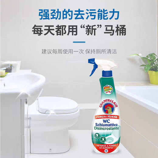 意大利原装进口洁厕剂大公鸡头马桶清洁剂水箱厕所除臭去异味除菌 商品图1