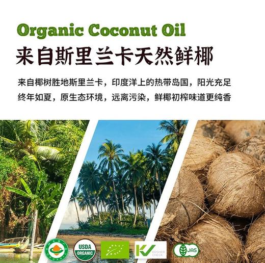 原装进口 有机物理初榨椰子油 多国有机认证 商品图1