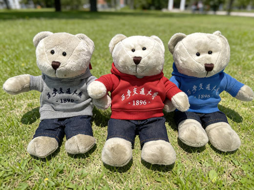 毛绒公仔-卫衣小熊 商品图0