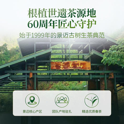 【联系客服下单更优惠】澜沧古茶2026年001云南名山古树明前春茶大饼357g 商品图1
