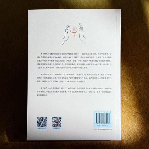 为有异香生满园 特需学生的个别化关爱与指导 何华 王文娟 付梦瑶 商品图2
