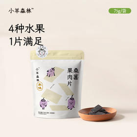 「桑葚果肉片」 真实水果打浆   健康小零食 零食