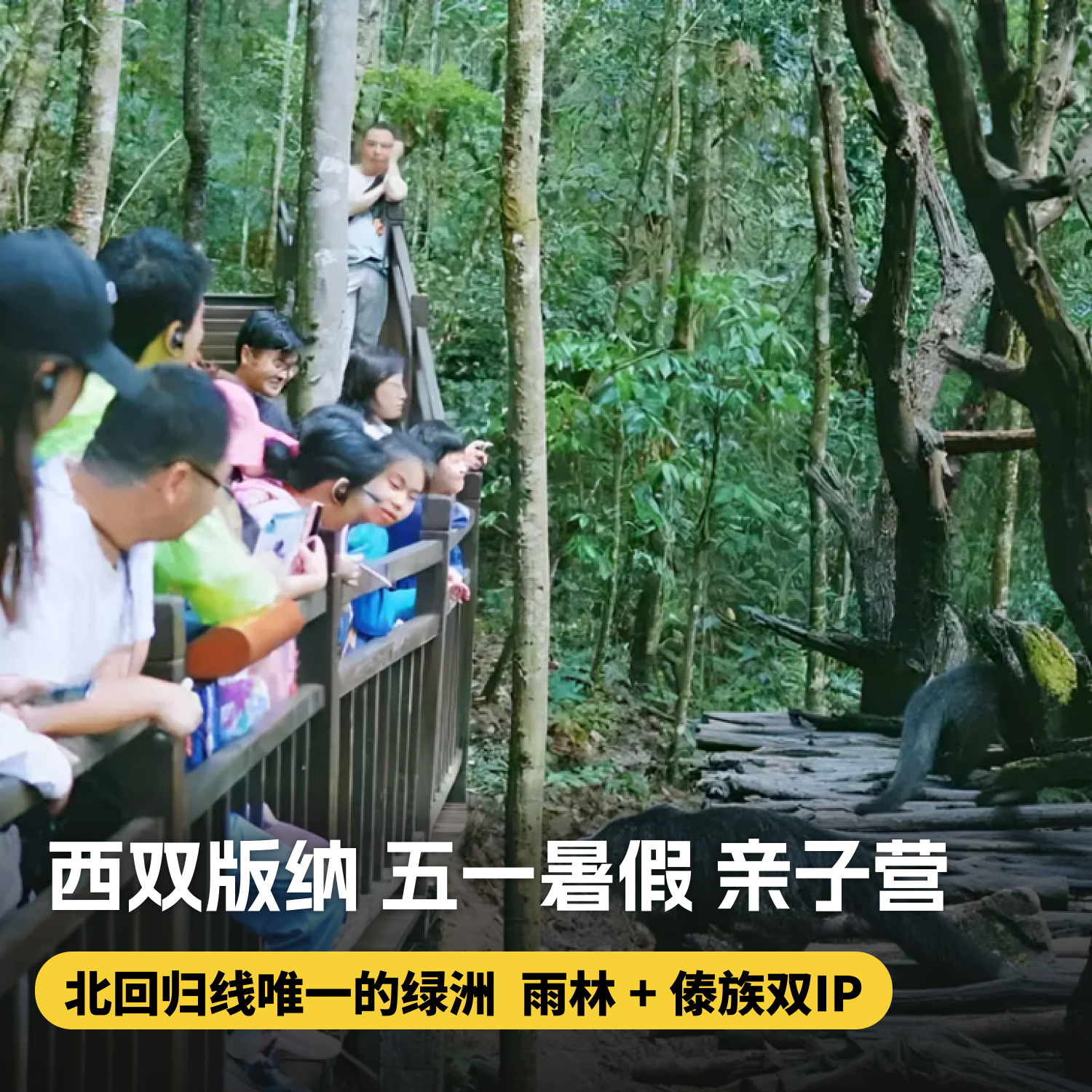 6天5晚【奢玩·西双版纳五一暑假亲子营】体验雨林穿越、特色傣族民俗文化、野象谷、小熊猫庄园，1大1小到2大2小享主题正餐，全程高能有玩有学不枯燥，高端野奢度假体验~