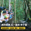 6天5晚【奢玩·西双版纳五一暑假亲子营】体验雨林穿越、特色傣族民俗文化、野象谷、小熊猫庄园，1大1小到2大2小享主题正餐，全程高能有玩有学不枯燥，高端野奢度假体验~ 商品缩略图0