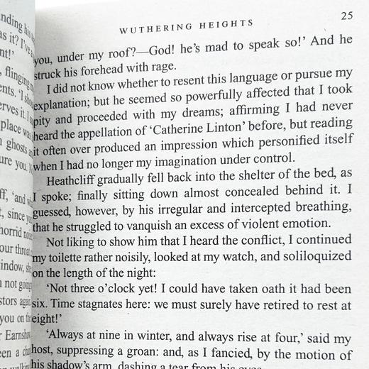 呼啸山庄 英文原版 Wuthering Heights 英文版 经典世界名著文学小说 艾米莉勃朗特 正版进口英语书籍 英语原版 商品图1