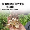 长白山有机百合干清甜软糯无熏硫银耳百合桂圆莲子羹180g 商品缩略图1