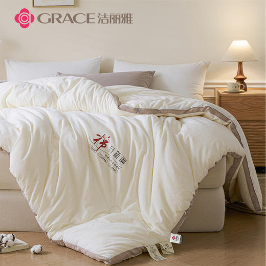 洁丽雅（Grace)棉记.立体新疆棉花四季被JLY25902 商品图2