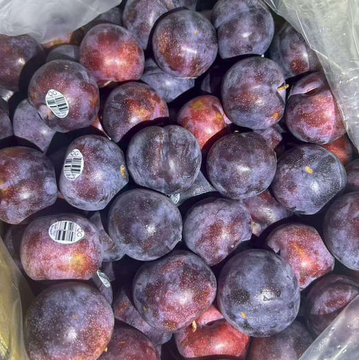 澳洲减肥李 表皮轻微酸 口感浓郁 29.9/斤 商品图1