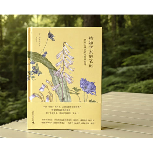 植物学家的笔记 申惠雨/著 罗竣/译 植物学 散文 科普 植物插画 广西师范大学出版社 商品图3