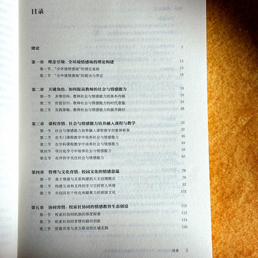 全环境情感场 中小学社会与情感能力培育新模式 创新育人模式 培养学生的社会与情感能力 商品图6